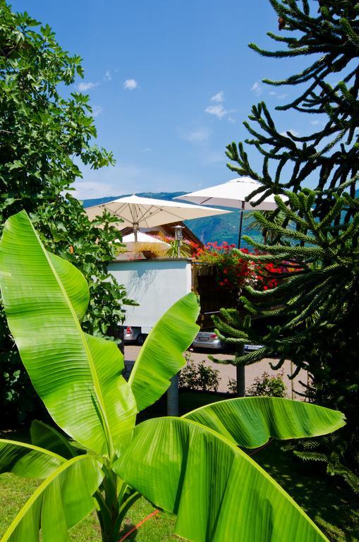 نالّيس Hotel & Residenz Traubenheim المظهر الخارجي الصورة
